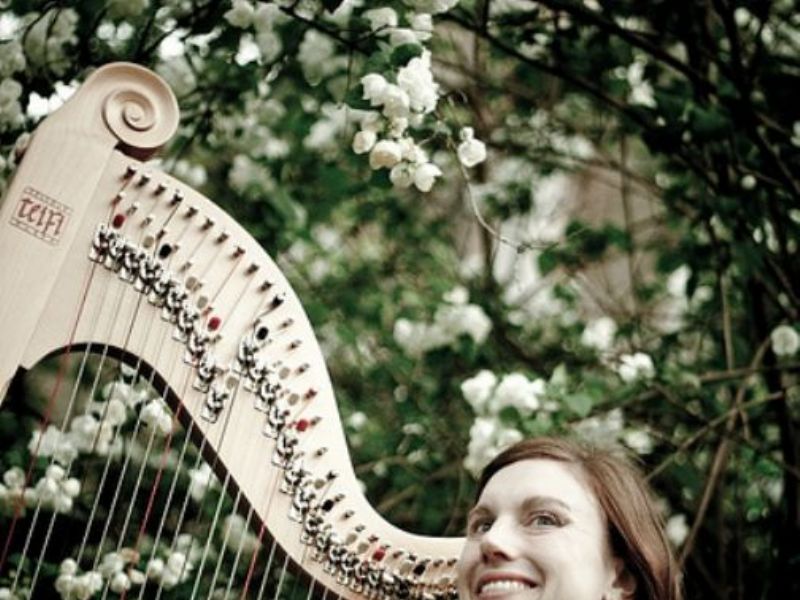 tamsin harpist